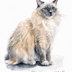 Custom Cat Portrait, Hand Painted Watercolor Pet Portrait from picture, Commission Art, Personalized Gift for cat lovers. Unique handmade artwork, realistic watercolor painting, custom illustration, memorial cat portrait keepsake. Perfect for Christmas gifts, Mother’s Day presents, pet owners, families, friends, and animal lovers. Personalized wall decor that makes a thoughtful gift for birthdays, anniversaries, holidays, or pet remembrance occasions.