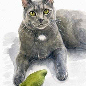 Custom Cat Portrait, Hand Painted Watercolor Pet Portrait from picture, Commission Art, Personalized Gift for cat lovers. Unique handmade artwork, realistic watercolor painting, custom illustration, memorial cat portrait keepsake. Perfect for Christmas gifts, Mother’s Day presents, pet owners, families, friends, and animal lovers. Personalized wall decor that makes a thoughtful gift for birthdays, anniversaries, holidays, or pet remembrance occasions.