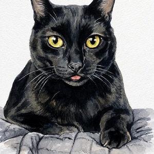 Custom Cat Portrait, Hand Painted Watercolor Pet Portrait from picture, Commission Art, Personalized Gift for cat lovers. Unique handmade artwork, realistic watercolor painting, custom illustration, memorial cat portrait keepsake. Perfect for Christmas gifts, Mother’s Day presents, pet owners, families, friends, and animal lovers. Personalized wall decor that makes a thoughtful gift for birthdays, anniversaries, holidays, or pet remembrance occasions.