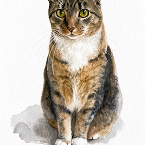Custom Cat Portrait, Hand Painted Watercolor Pet Portrait from picture, Commission Art, Personalized Gift for cat lovers. Unique handmade artwork, realistic watercolor painting, custom illustration, memorial cat portrait keepsake. Perfect for Christmas gifts, Mother’s Day presents, pet owners, families, friends, and animal lovers. Personalized wall decor that makes a thoughtful gift for birthdays, anniversaries, holidays, or pet remembrance occasions.