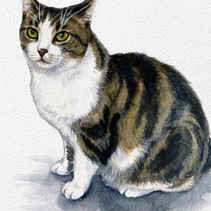 Custom Cat Portrait, Hand Painted Watercolor Pet Portrait from picture, Commission Art, Personalized Gift for cat lovers. Unique handmade artwork, realistic watercolor painting, custom illustration, memorial cat portrait keepsake. Perfect for Christmas gifts, Mother’s Day presents, pet owners, families, friends, and animal lovers. Personalized wall decor that makes a thoughtful gift for birthdays, anniversaries, holidays, or pet remembrance occasions.