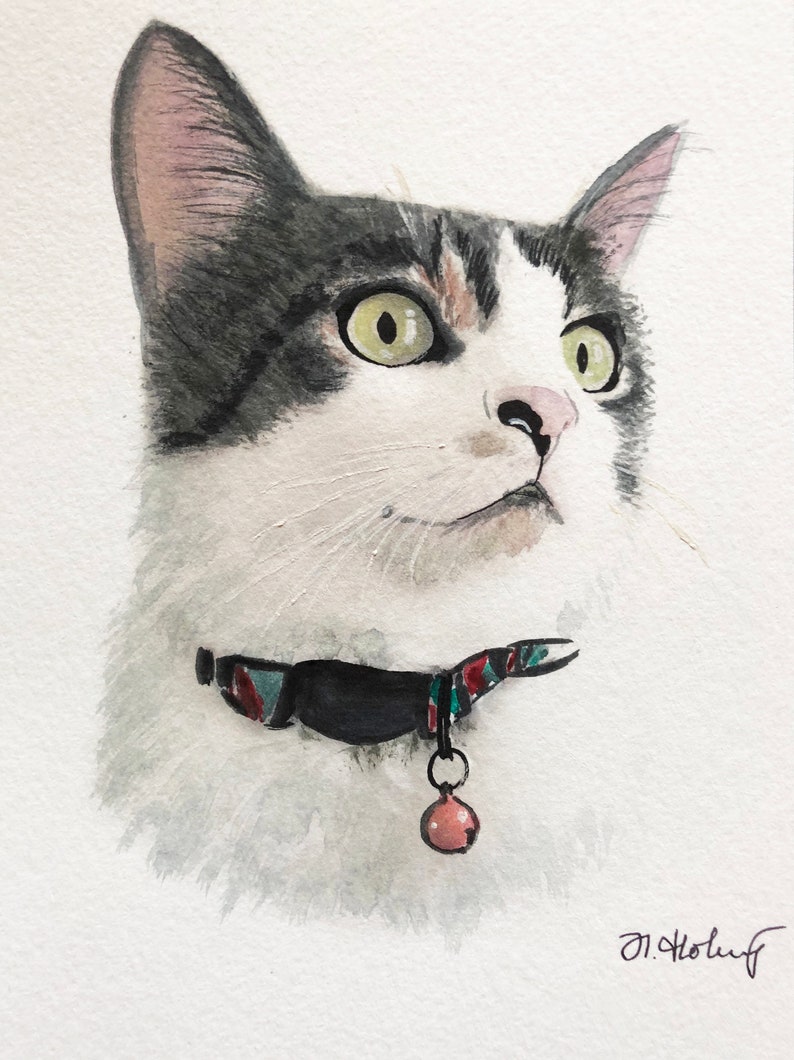 Cat portrait Custom cat portrait Watercolor