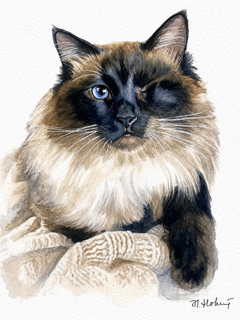 Custom Cat Portrait, Hand Painted Watercolor Pet Portrait from picture, Commission Art, Personalized Gift for cat lovers. Unique handmade artwork, realistic watercolor painting, custom illustration, memorial cat portrait keepsake. Perfect for Christmas gifts, Mother’s Day presents, pet owners, families, friends, and animal lovers. Personalized wall decor that makes a thoughtful gift for birthdays, anniversaries, holidays, or pet remembrance occasions.