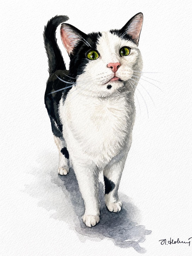 Custom Cat Portrait, Hand Painted Watercolor Pet Portrait from picture, Commission Art, Personalized Gift for cat lovers. Unique handmade artwork, realistic watercolor painting, custom illustration, memorial cat portrait keepsake. Perfect for Christmas gifts, Mother’s Day presents, pet owners, families, friends, and animal lovers. Personalized wall decor that makes a thoughtful gift for birthdays, anniversaries, holidays, or pet remembrance occasions.