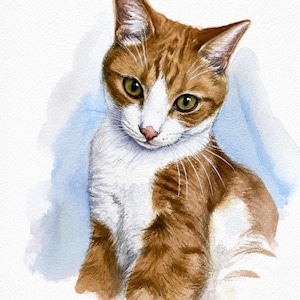 A watercolor painting of a ginger and white cat with green eyes, looking downward. The cat has a white chest and face markings with orange tabby fur. The name Milo is written in cursive script at the bottom with a signature next to it.