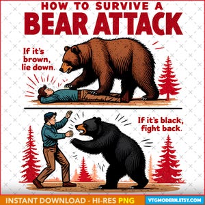 PNG Supervivencia al ataque de oso. Ataques de oso. Si es marrón, échate. Si es negro, defiéndete.