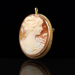 May include: An oval shell cameo brooch featuring a carved profile of a person with an elaborate hairstyle, set in a yellow gold frame with a textured rope-style border. The cameo displays a cream-colored figure against a warm brown background.