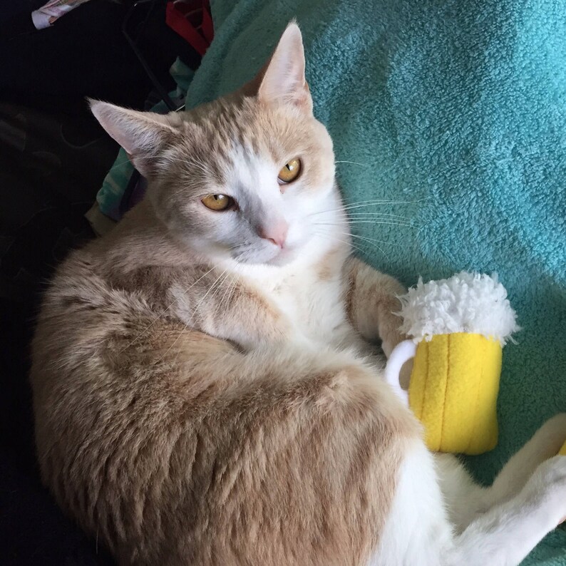 Catnip Beer Mug Cat Toy Etsy