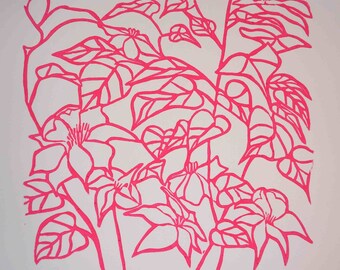 Hot Pink Clematis Vine