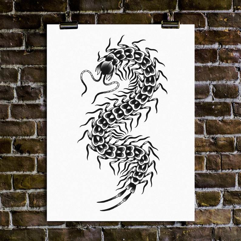 Centipede Traditional Tattoo Flash Black and White Old Etsy