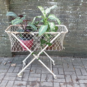 May include: White metal folding plant stand with three potted plants. The stand has a wire mesh basket and wheels. The plants are in red and white pots.