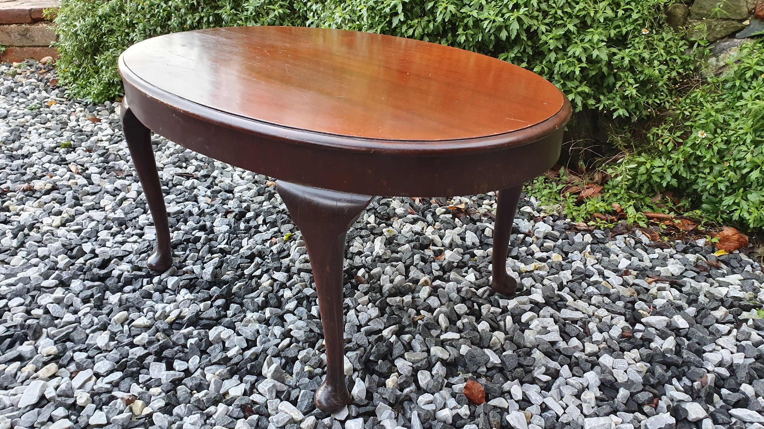 Vintage 191020 Mahogany Oval Coffee Table With Cabriole Legs Etsy