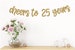 Cheers to 25 years, 25th Birthday banners, 25th Birthday Decor, 25th Birthday Sign, Happy 25th birthday 