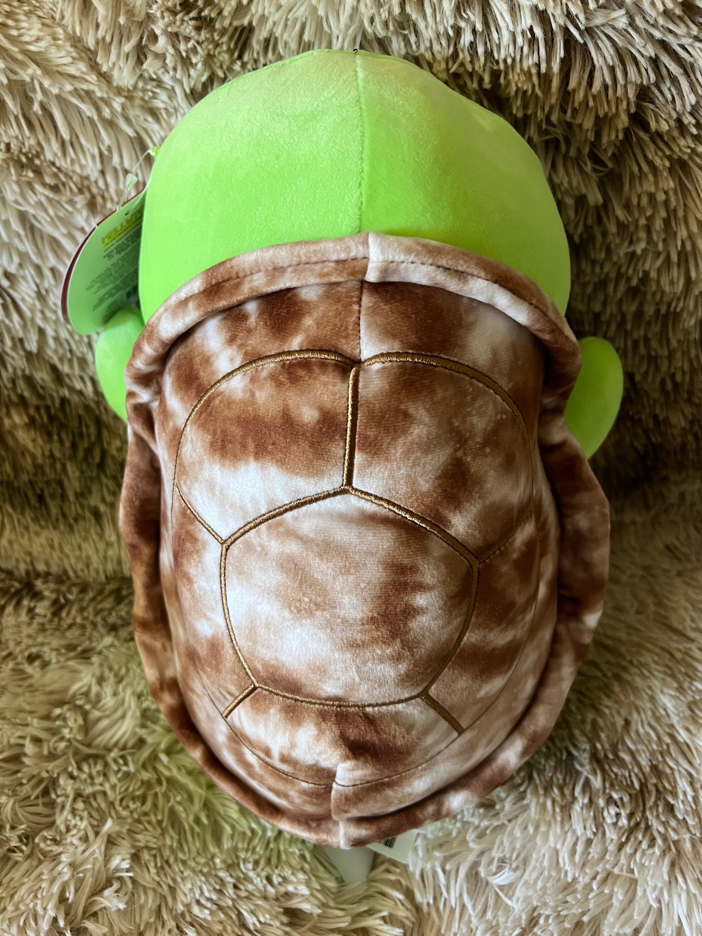 Squishmallow Antoni The Sea Turtle 8 Kellytoy Teal Green Sea Life Plush