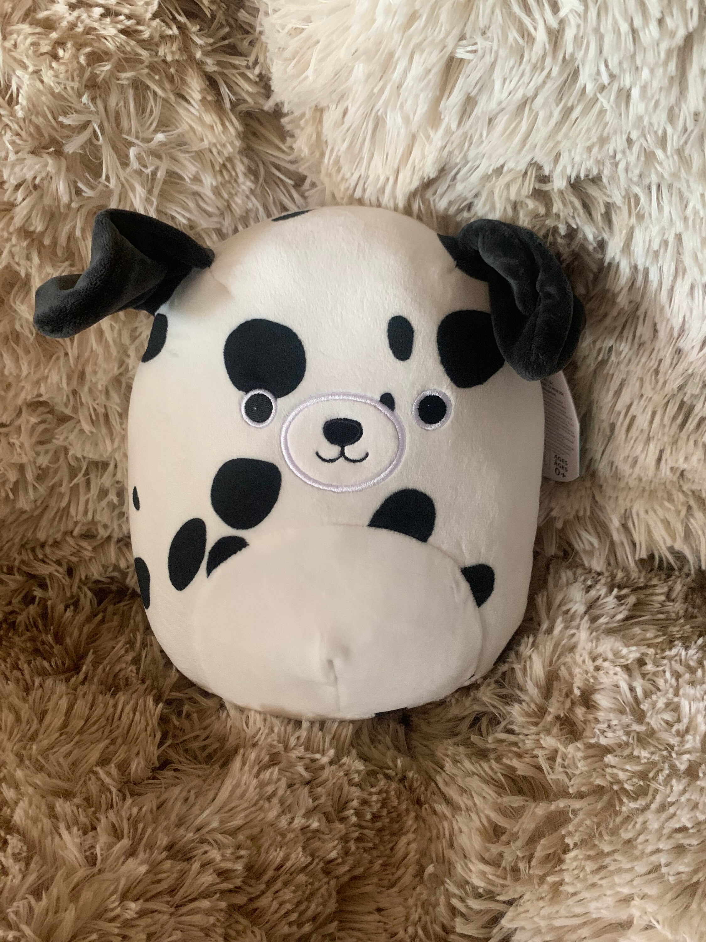 squishmallow dalmatian name