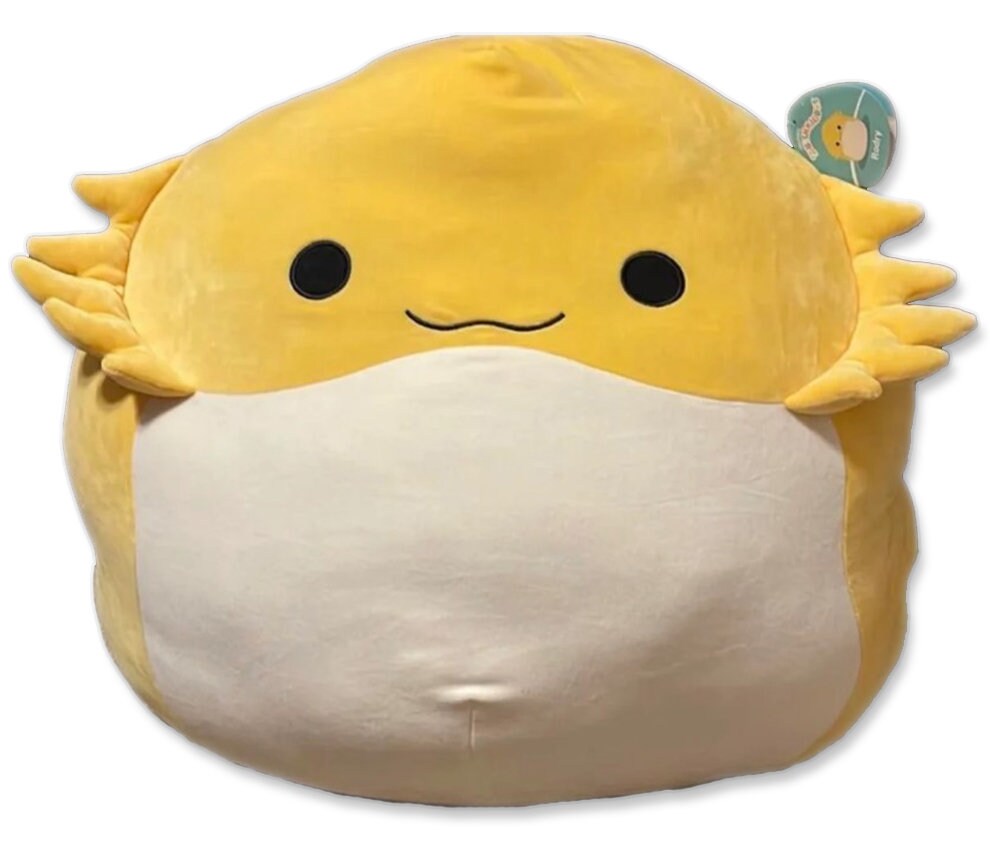 squishmallows large 24 inch