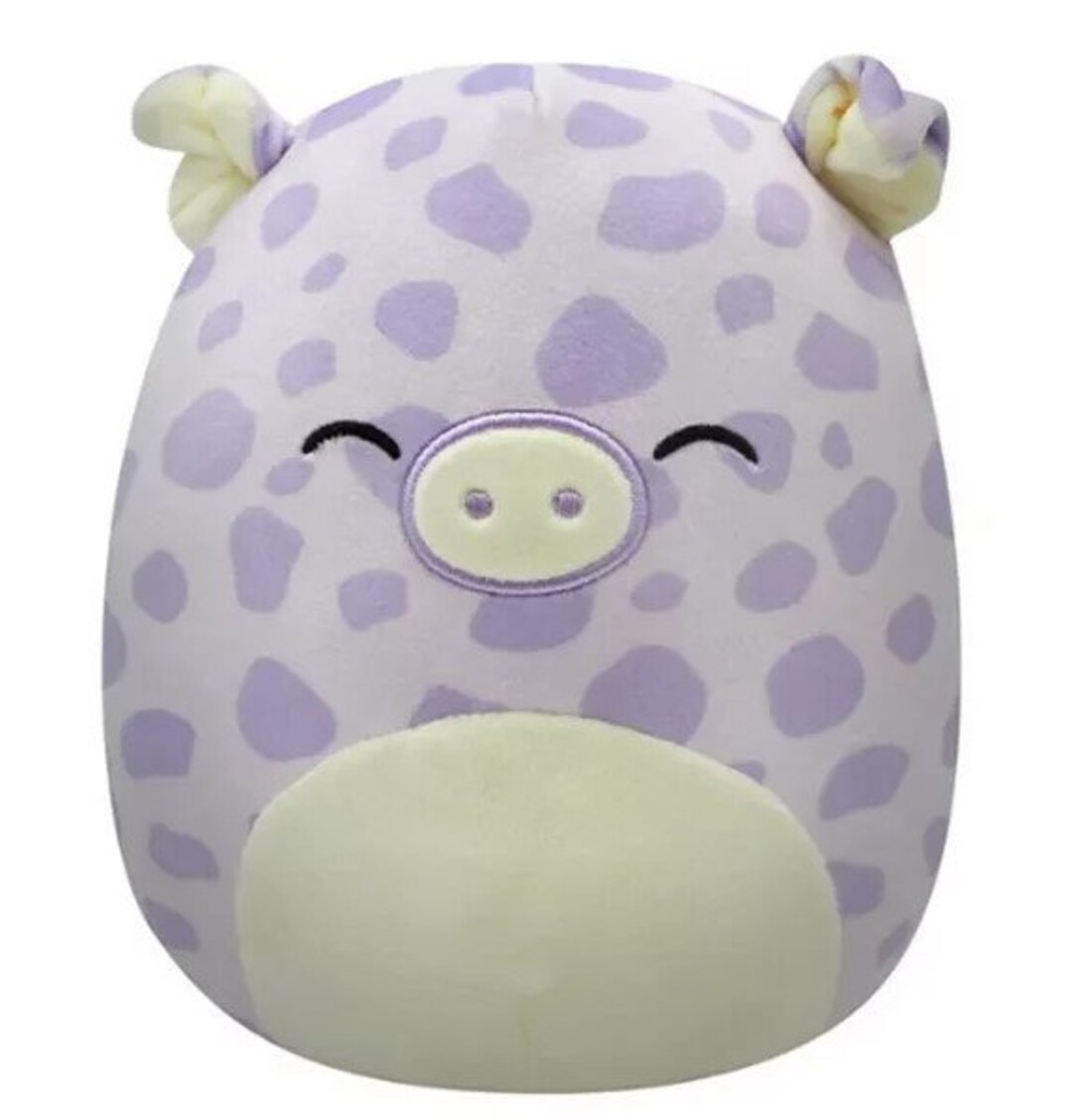 11 Pammy the Pig Squishmallow Personalized Etsy