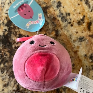 3.5&quot; clip on Poolena Squishmallow Personalized