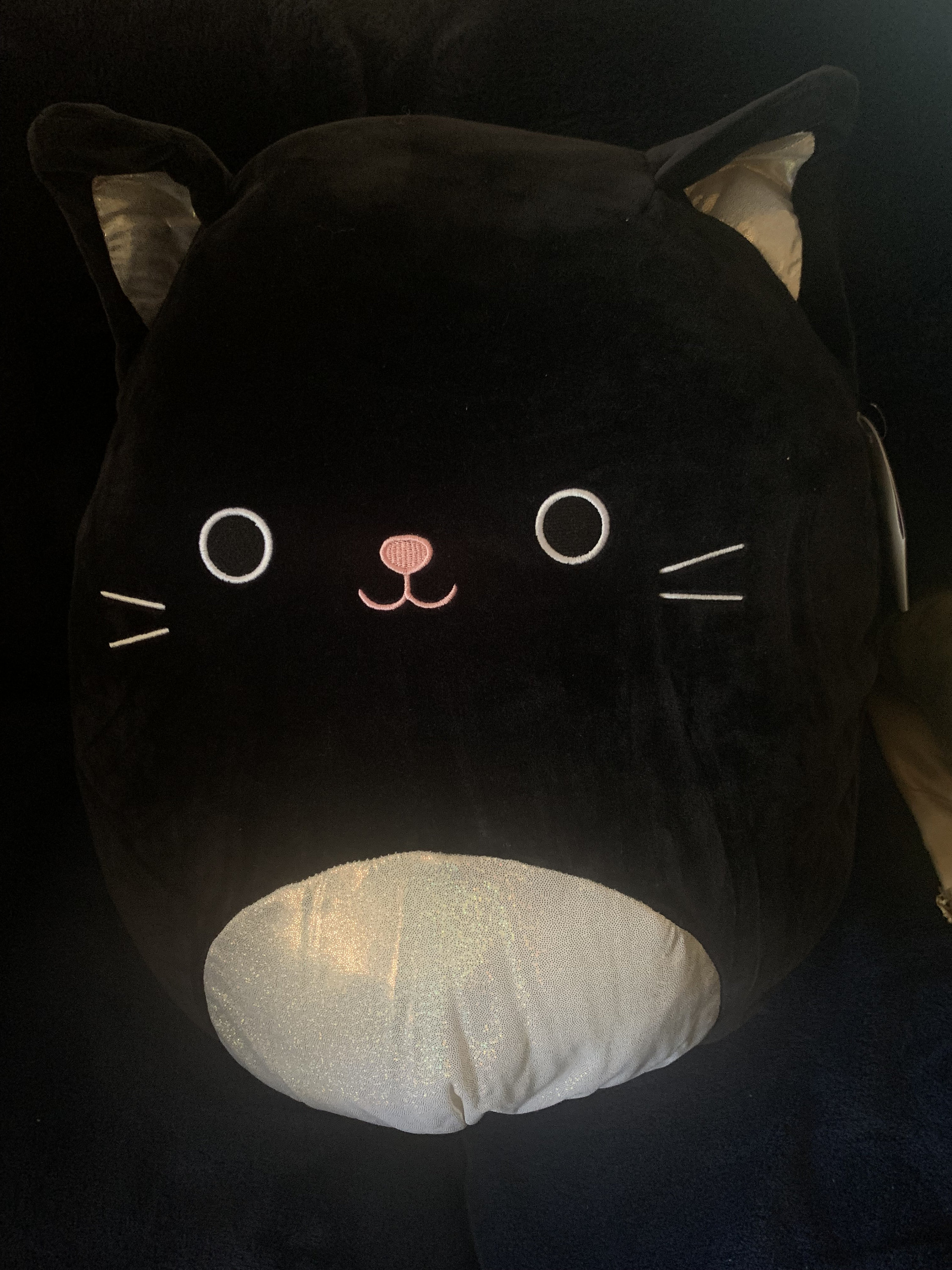 16 Autum cat Squishmallow - Etsy France