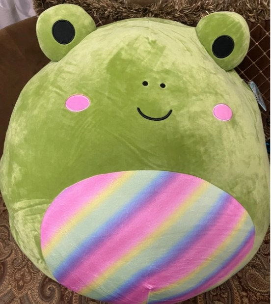 Squishmallows 24 Doxl the Frog Personalized 