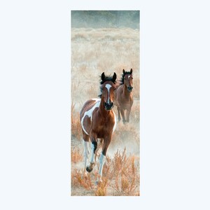 Running colts, Horses running, Wild horses, Western horses, Western Photography, South Dakota Horses, American Horses Fine art horses, colts