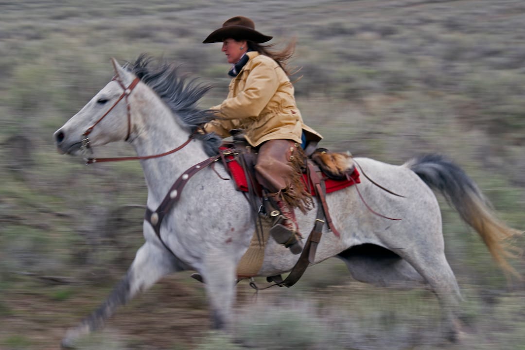 Cowgirl, David Bolin, Cowgirl Art, Western Art, Hanging Valley, Cowgirl ...