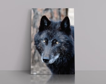 Wolf, Black Wolf, Wolves in the wild, Wildlife Photography, Wolf Photography, Wolf, Wolf wall art