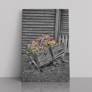 Ertskar en bloemen, zwart-wit met kleur, Crested Butte, Colorado, zwart en wit, David Bolin, hangende valleifoto, bloemen