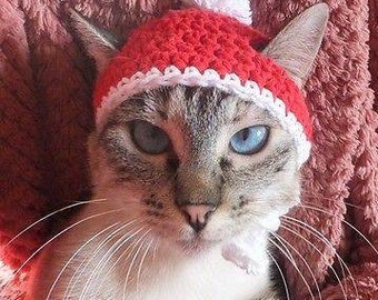 Christmas cat hat
