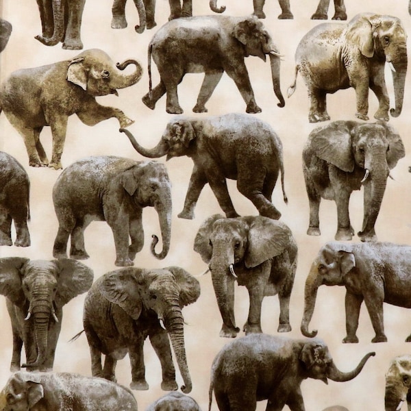Realistic Elephants Jungle Animals Beige Timeless Treasures #8301