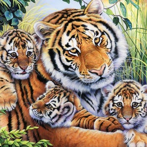 May include: A detailed painting of a tiger family. The adult tiger has orange fur with black stripes and is surrounded by three cubs. The cubs have similar markings and are nestled close to the adult. Green foliage and tall grass surround the tigers.