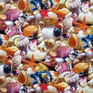 Landscape Medley 392-Multi Seashells by Elizabeth&#39;s Studio