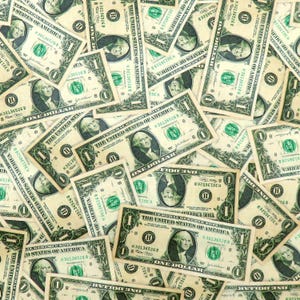 Dollar Bills 0255-9C1 Money Four Seasons for David Textiles