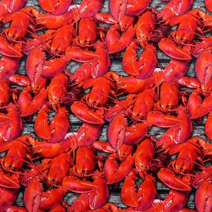 Life is a Bowl AL A Carte 51903D-X Packed Shello Lobsters for Windham Fabrics