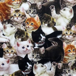 Literary Kitties 28236-X Multi Packed Kittens for QT Fabrics