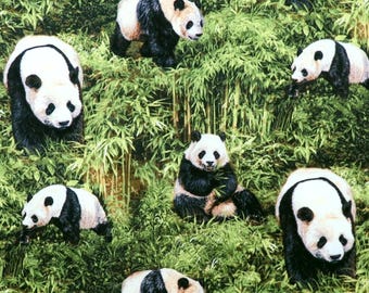 Born Free 112-31951 Realistic Panda Bears in Bamboo Forest by Fabri-Quilt