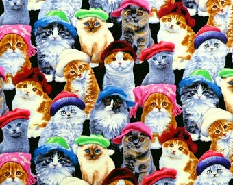 Adorable Pets 3805-Black Packed Kittens in Hats for Elizabeth's Studio