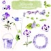 Watercolor Pansies collection - Commercial and Personal Use