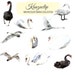 Watercolor Swan Collection- Commercial and Personal Use
