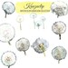Watercolor Dandelion Collection - Commercial and Personal Use