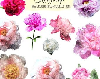 watercolor peony etsy