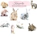 Watercolor Bunny Collection - Commercial and Personal Use
