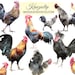 Watercolor Rooster Collection - Commercial and Personal Use