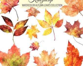 Watercolor Autumn Leaves Collection - Commercial and Personal Use