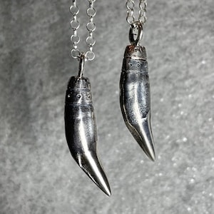 Life Cast Coyote Canine Necklace in Sterling Silver - Brush Wolf Fang Pendant