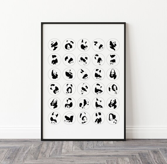 Panda project giclee art print - 40 x 50 cm