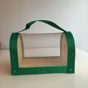 Handmade Insect Bug Wooden Box Green Outdoor Exploration