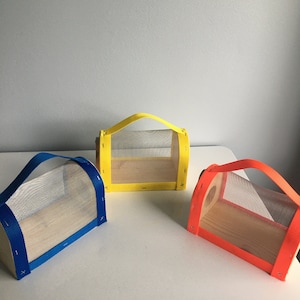 Handmade Insect Bug Wooden Box Outdoor Exploration Yellow Blue Orange