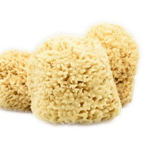 Wool Bath Sea Sponge