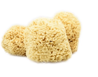 Natural Sea Sponge | Premium Sheepswool